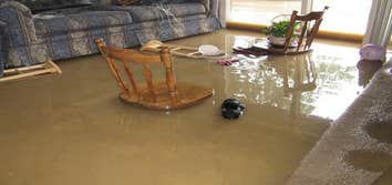 Photos by Water Damage Restoration Alexandria #1