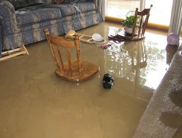 Photos by Water Damage Restoration Alexandria #1