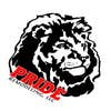 Pride Remodeling LLC logo