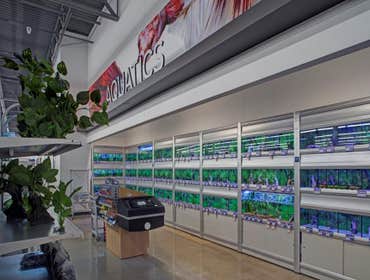 Retail
