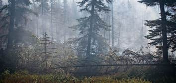 Photos by Garden City Smoke Damage Experts #1