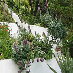 Photos from Reid Freeman Landscapes