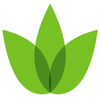 Bloom Pest Control and Home Services logo