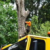 Photos by Danilo's Professional Tree Service & Landscaping #1