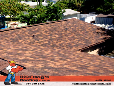 Photos by Red dog's Roofing of Florida #1