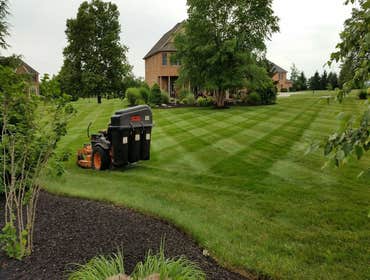 Photos by Amigos Lawn Care & Tree Service #1