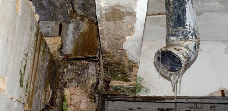 Mold Remediation Independence Solutions