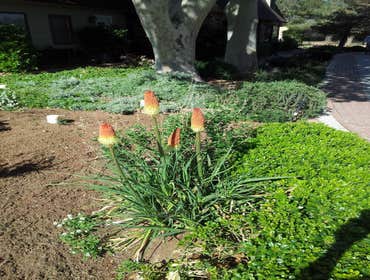 Photos from Sun Up Till Sun Down Landscaping Completed jobs