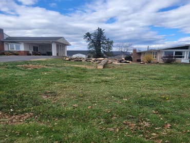 Photos by Hernandez Tree Services #3