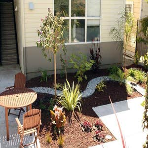 Photos from Earthly Sites