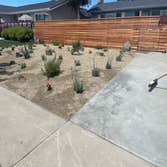 Photos by Silverstone Landscaping #1