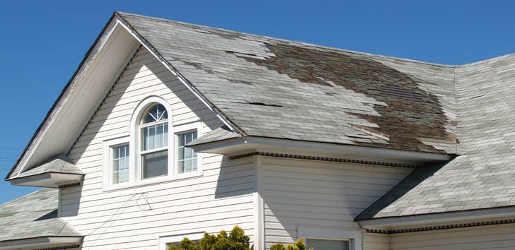 Dominguez Roofing
