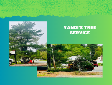 Photos by Yandi's Tree Service #14