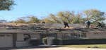 Complete roof and skylight replacement in Sun City, Arizona using Tamko Heritage Desert Sand asphalt shingles.