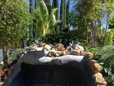 Tarzana Design and installation of landscape to renovate the back yard area.