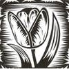 Brancato Landscaping logo