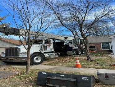 Photos by El Tule Tree Services LLC #13