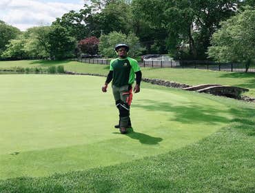 Photos by Selvins Tree Care #1