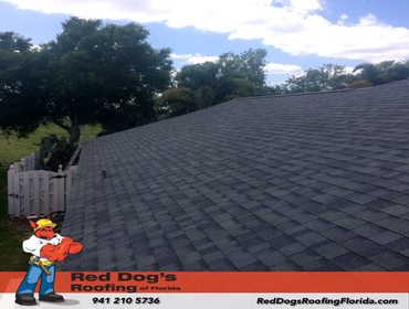 Photos by Red dog's Roofing of Florida #1