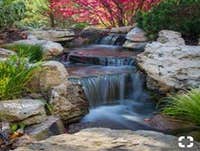 Photos by the Pond Pros of Southern California Advanced Pond Pro Inc #1