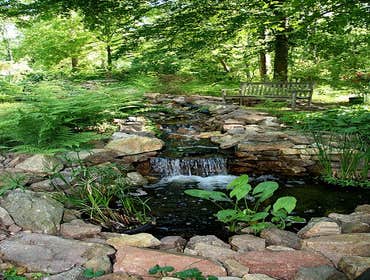 Back yard waterfall feature