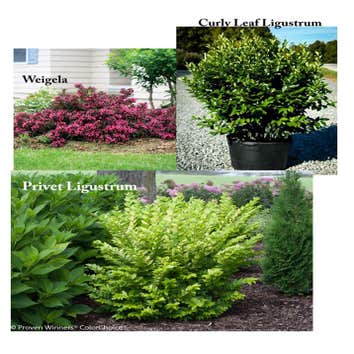 Photos by ECO Landscaping #1