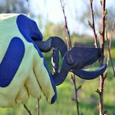 Photos by Woodchuck's Arbor Care #1