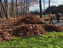 Photos by Garcia Brothers Landscaping LLC #1