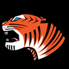 Tiger C Construction LLC logo