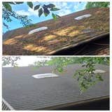 the Roofing Company