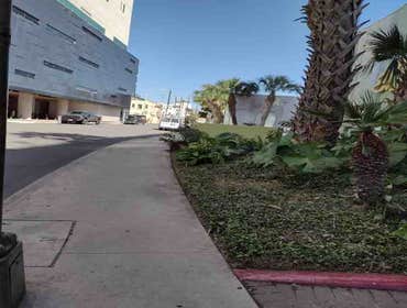 Photos by JOE'S Tree Service and Lanscanping #3