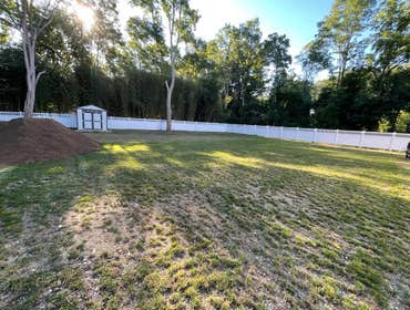 Photos by American Pride Tree Experts & Landscaping Inc #44
