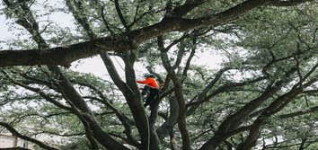 Price Right Professional Landscaping & Tree Service