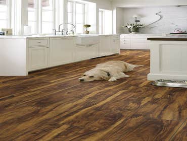 Photos by Floor Coverings International of Coastal Rhode Island #1