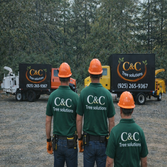 C&C Tree Solutions