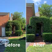 Photos by Prestige Lawn Care LLC #1