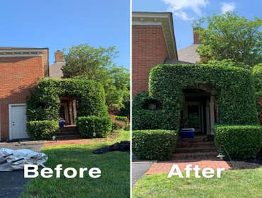 Photos by Prestige Lawn Care LLC #1