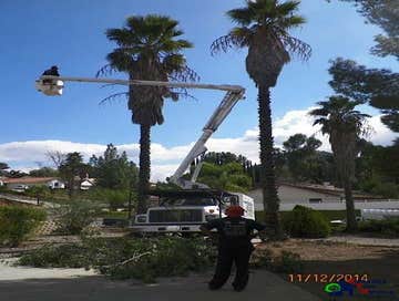 Photos by Estates Tree Service #1