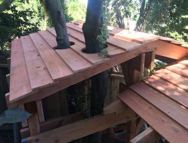 Tea Fort