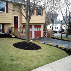 Landscape Project 4
