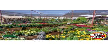 Desert Horizon Nursery Desert Horizon Nursery
