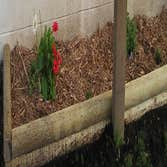 Dam Construction And Landscaping Consolidated Project