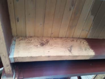 Project in Big Bear