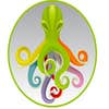 Octo Painting Inc logo