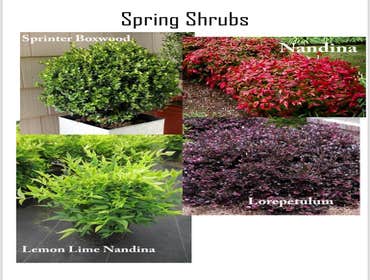 Photos by ECO Landscaping #1