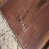 Furniture Custom built live edge furniture