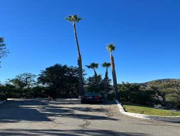 Photos by California Green Tree Care #1