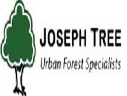 Photos by Joseph Tree #1