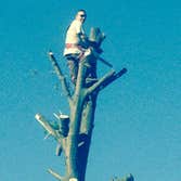 Latino Landscaping & Tree Service