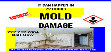 Palm Restoration & Construction Services
